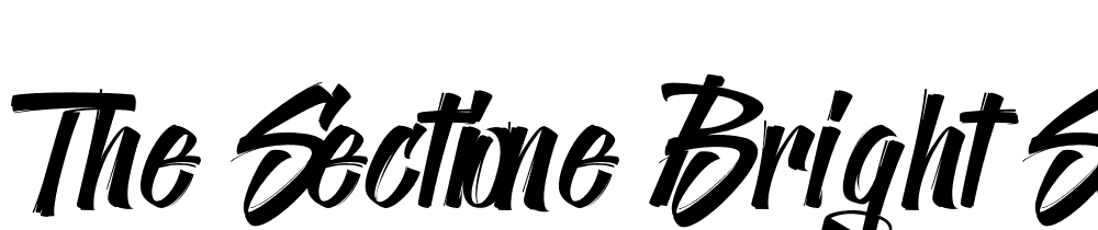 The-Sectione-Bright-Script font family download free