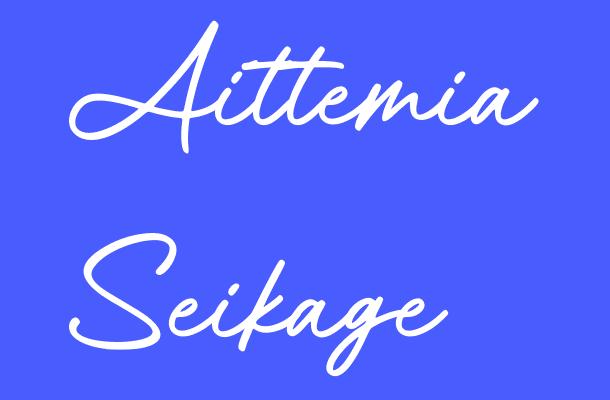 Aittemia Seikage Font