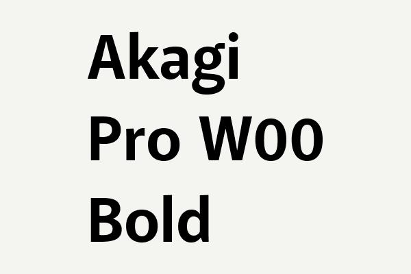 Akagi Pro W00 Bold Font