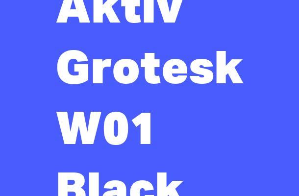 Aktiv Grotesk W01 Black Font