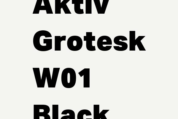 Aktiv Grotesk W01 Black Font