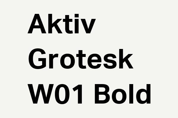 Aktiv Grotesk W01 Bold Font