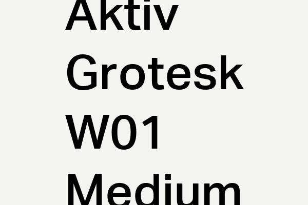 Aktiv Grotesk W01 Medium Font