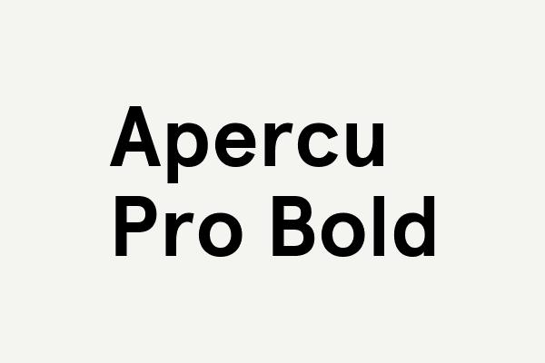 Apercu Pro Bold Font