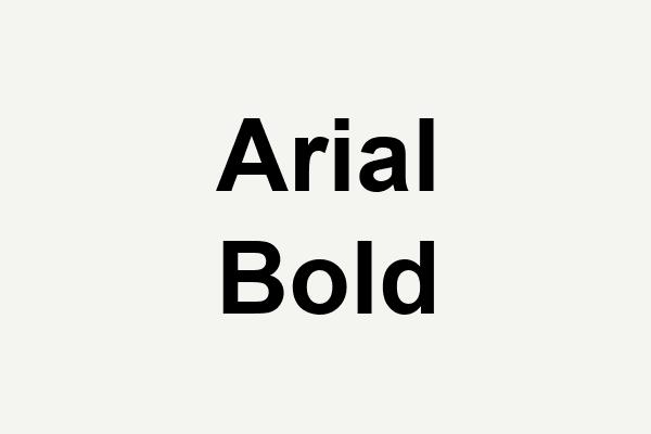 Arial Bold Font