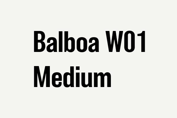 Balboa W01 Medium Font