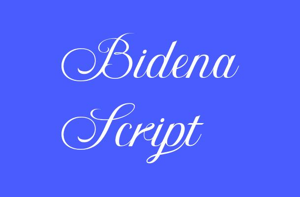 Bidena Script Font