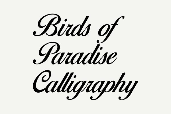 Birds of Paradise Calligraphy Font