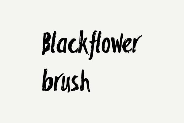 Blackflower brush Font