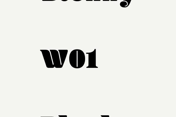 Blenny W01 Black Font