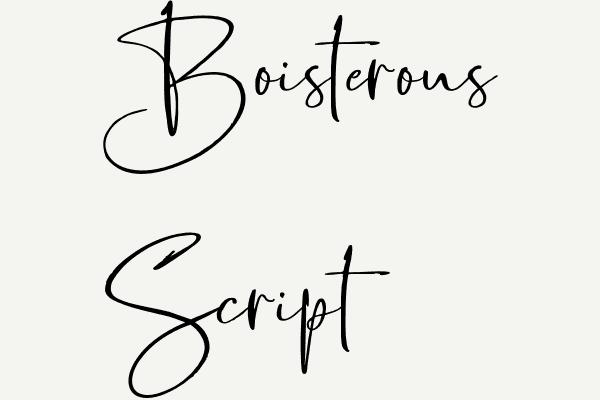 Boisterous Script Font