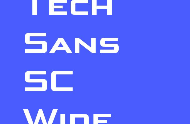 Bunken Tech Sans SC Wide W01Bd Font