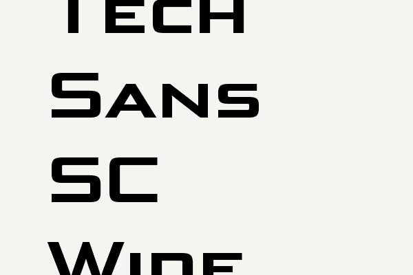 Bunken Tech Sans SC Wide W01Bd Font