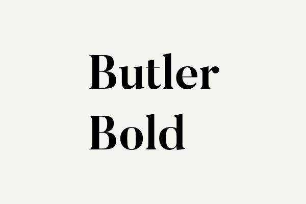 Butler Bold Font