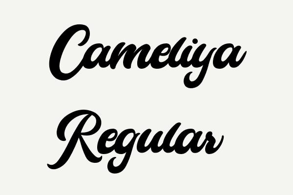 Cameliya Regular Font