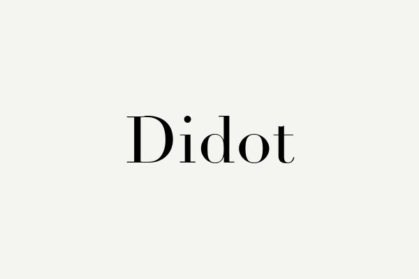 Didot Font
