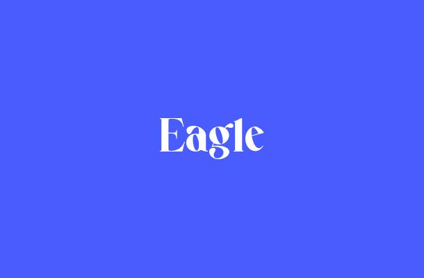 Eagle Font