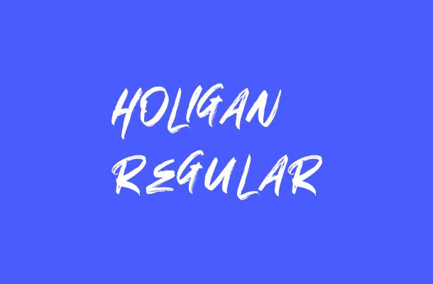 HOLIGAN Regular Font