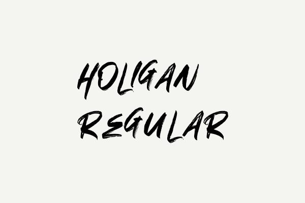 HOLIGAN Regular Font