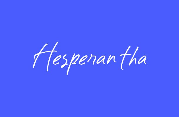 Hesperantha Font