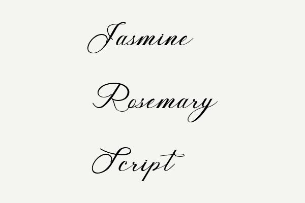 Jasmine Rosemary Script Font