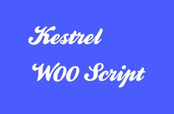Kestrel W00 Script Font