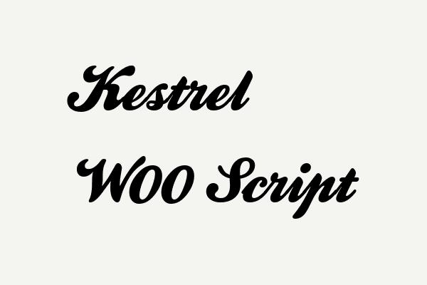 Kestrel W00 Script Font