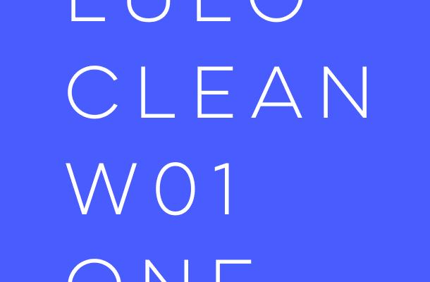 Lulo Clean W01 One Font