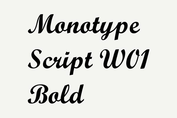 Monotype Script W01 Bold Font