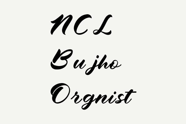 NCL Bujho Orgnist Font