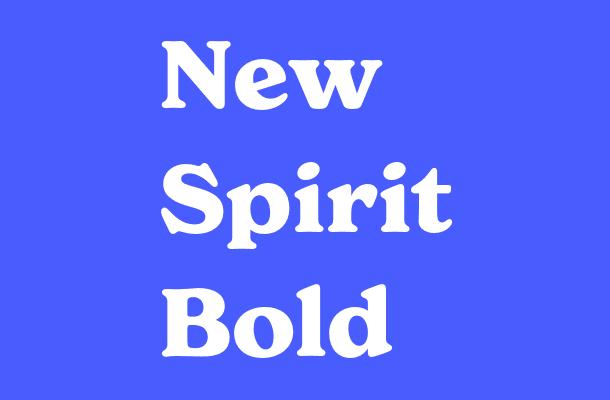 New Spirit Bold Font
