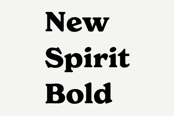 New Spirit Bold Font