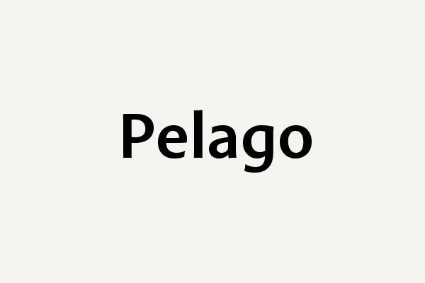 Pelago Font
