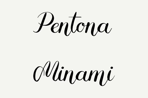 Pentona Minami Font