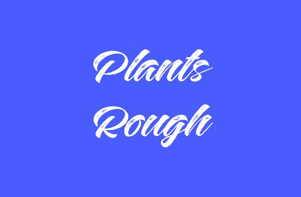 Plants Rough Font