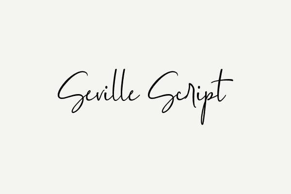Seville Script Font Font