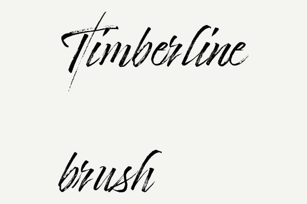 Timberline brush Font