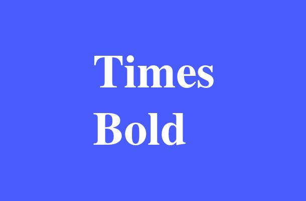 Times Bold Font