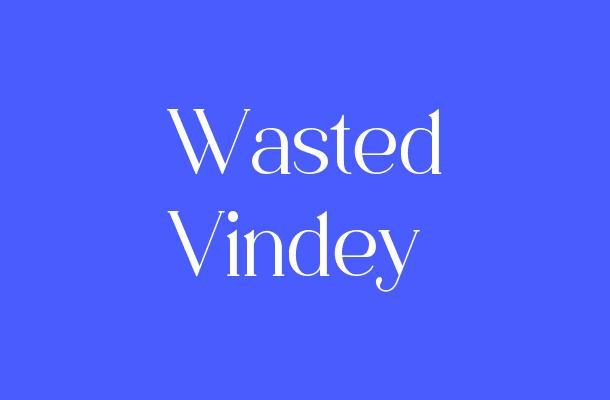 Wasted Vindey Font