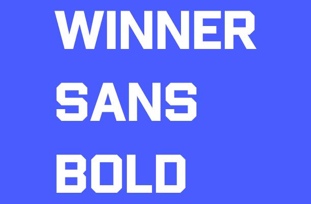 Winner Sans Bold Font