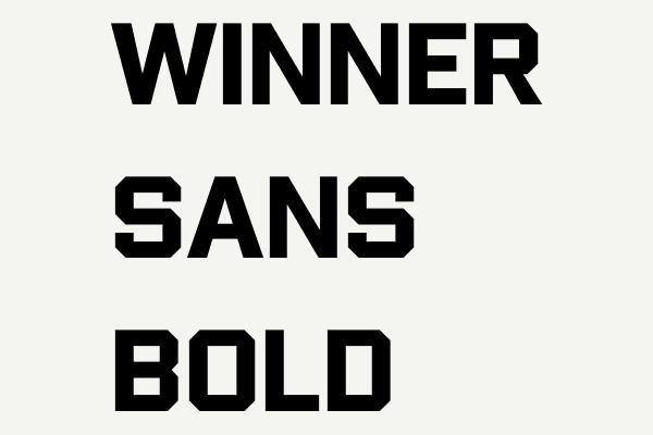 Winner Sans Bold Font