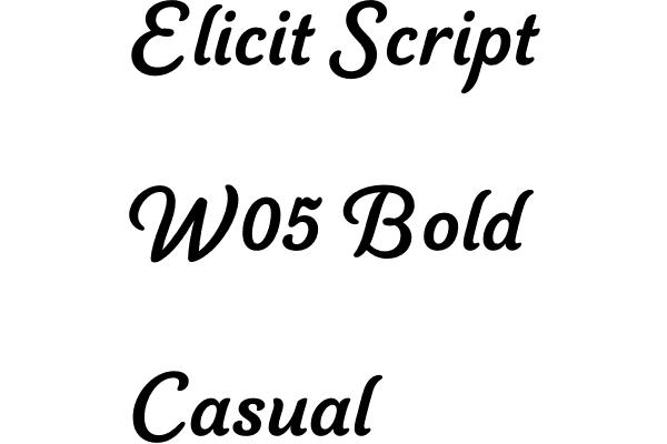Elicit Script W05 Bold Casual Font